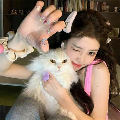 江先生谎言到此为止